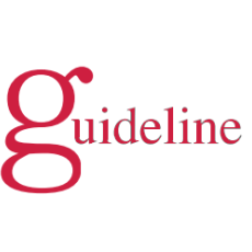 Guideline Computer Technology LLC